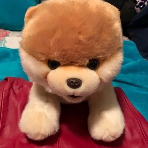 Gund stuffed Pomeranian Boo the worlds cutest dog like new never played with